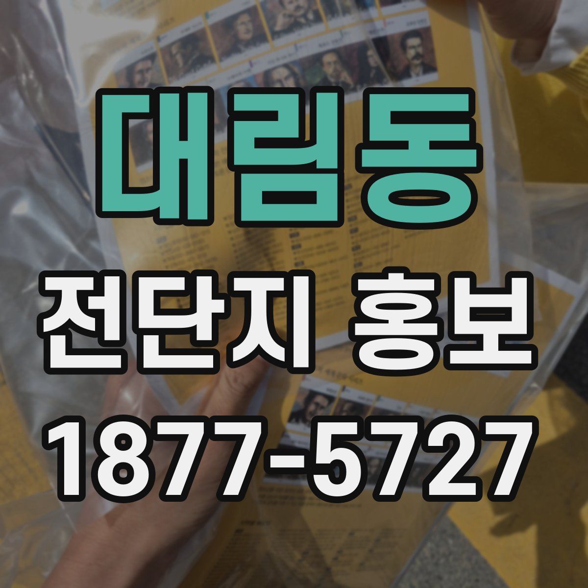 대림동 전단지 홍보