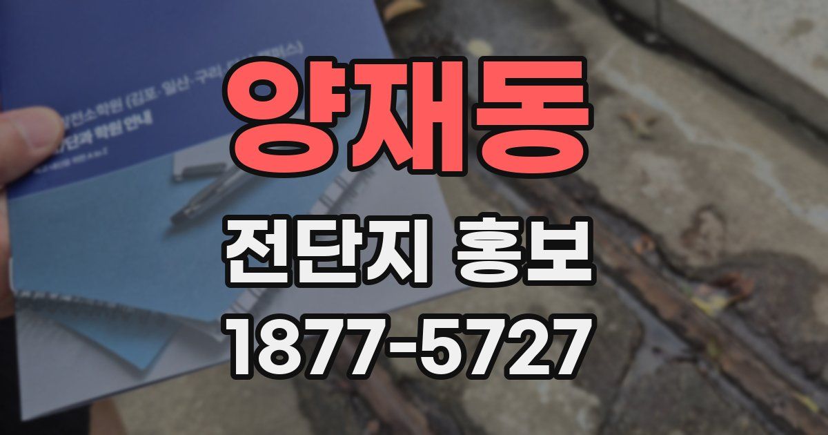 양재동 전단지 홍보