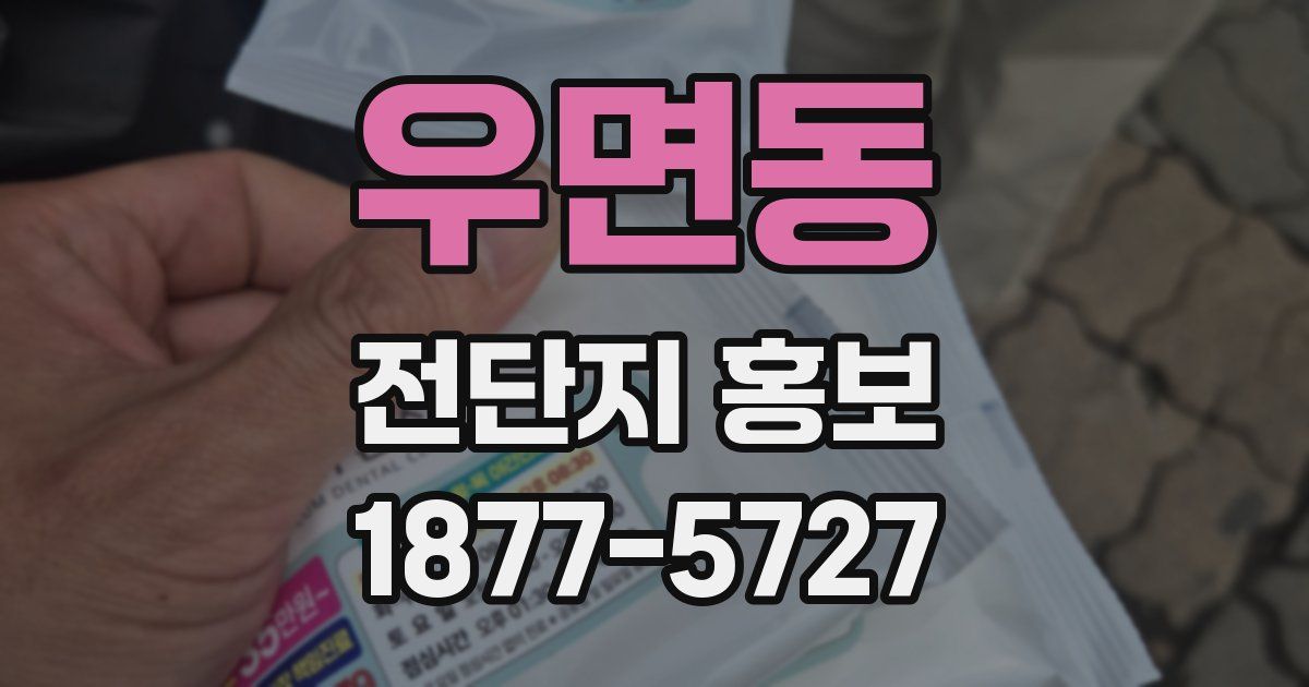 우면동 전단지 홍보