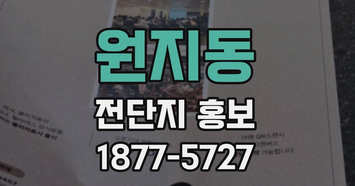원지동 전단지 홍보
