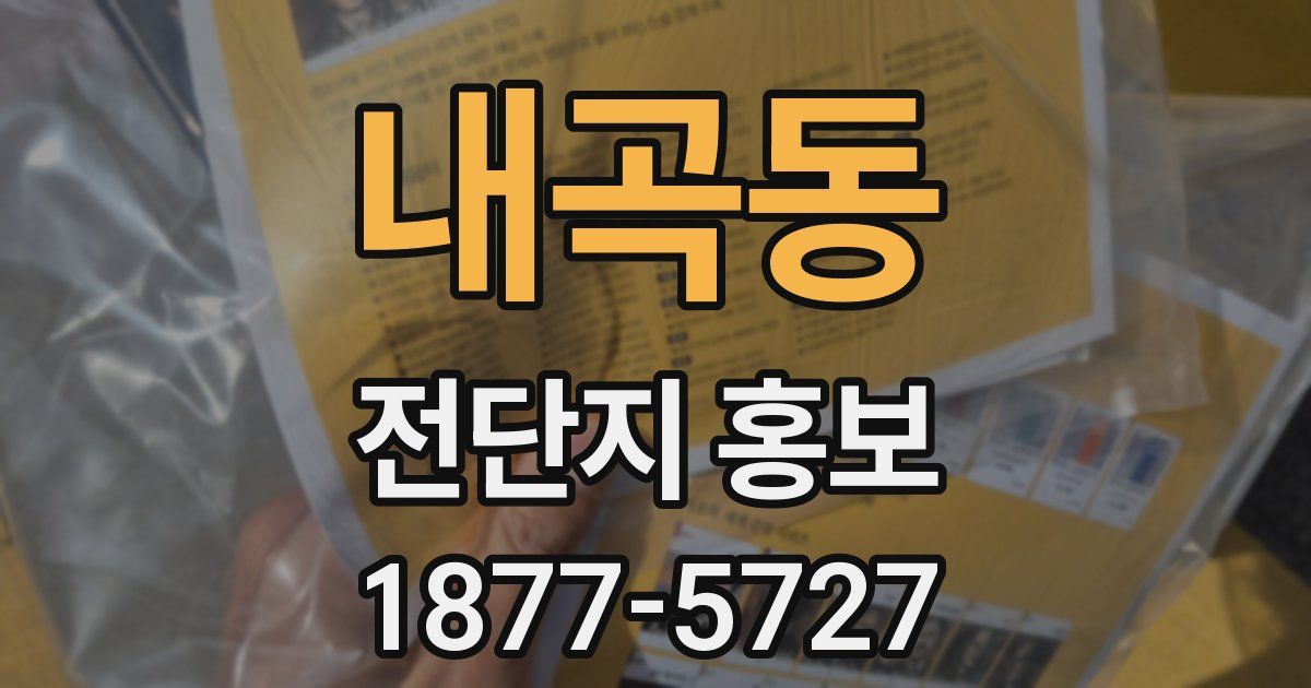 내곡동 전단지 홍보