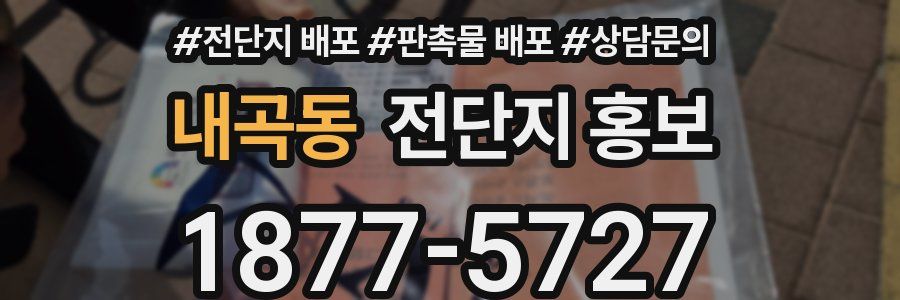 내곡동 전단지 홍보