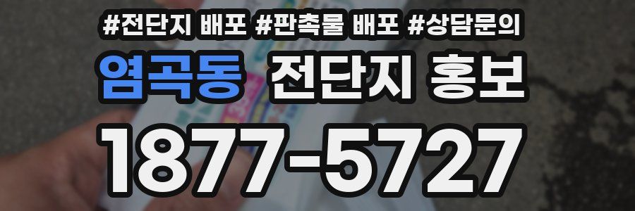 염곡동 전단지 홍보
