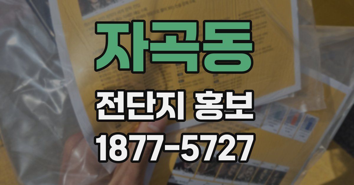 자곡동 전단지 홍보