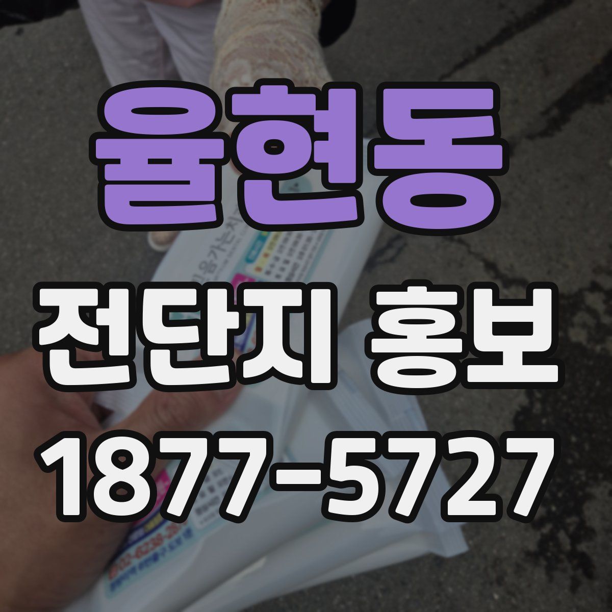 율현동 전단지 홍보