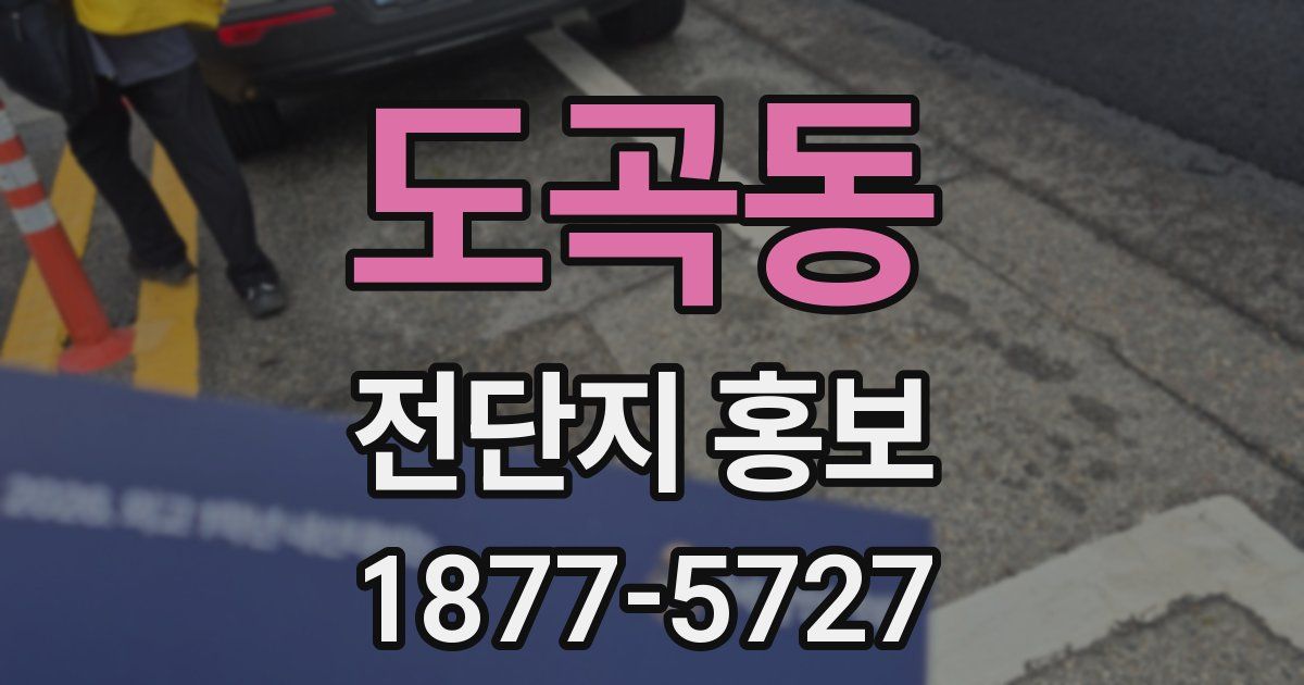 도곡동 전단지 홍보