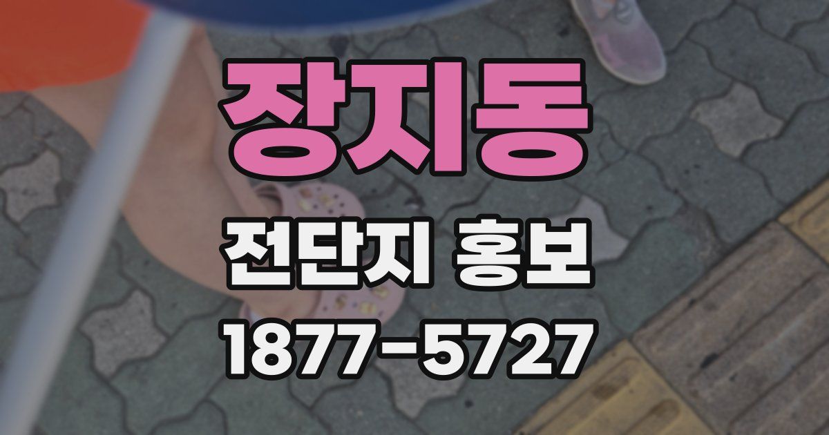 장지동 전단지 홍보
