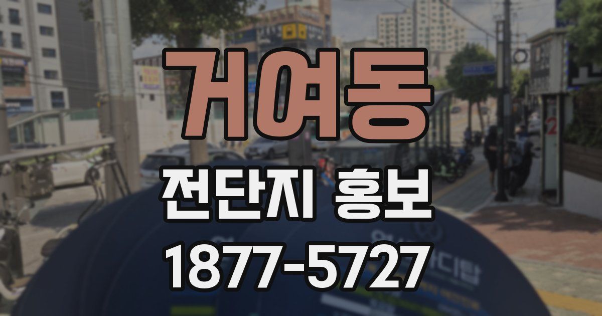 거여동 전단지 홍보