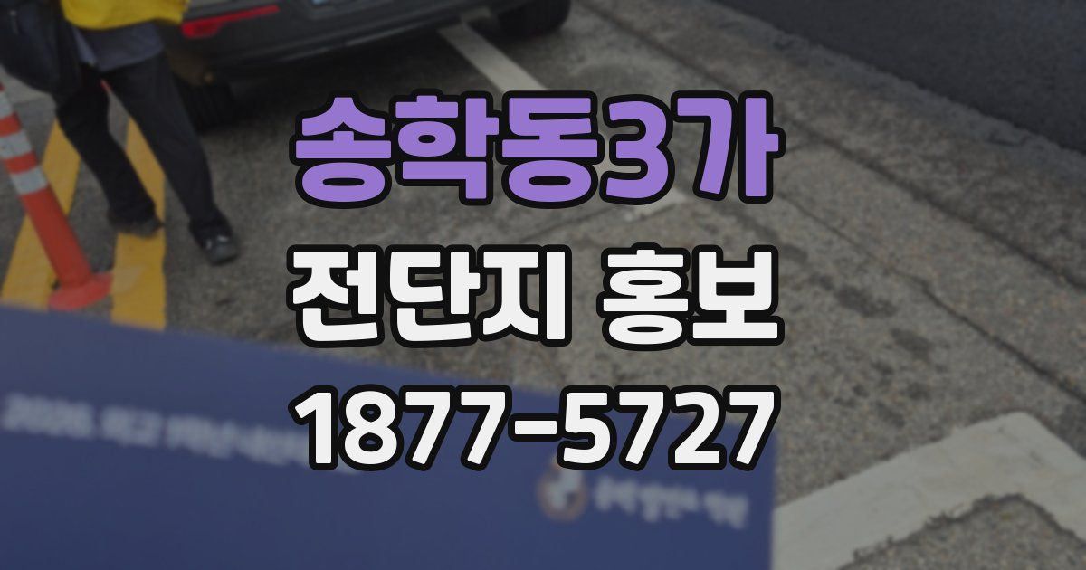 송학동3가 전단지 홍보