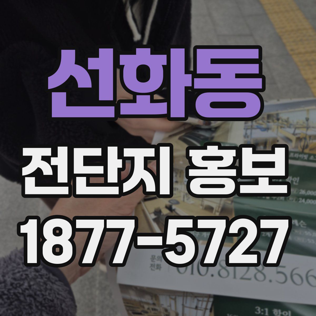 선화동 전단지 홍보