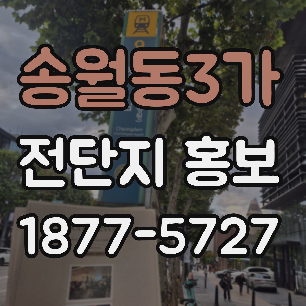 송월동3가 전단지 홍보