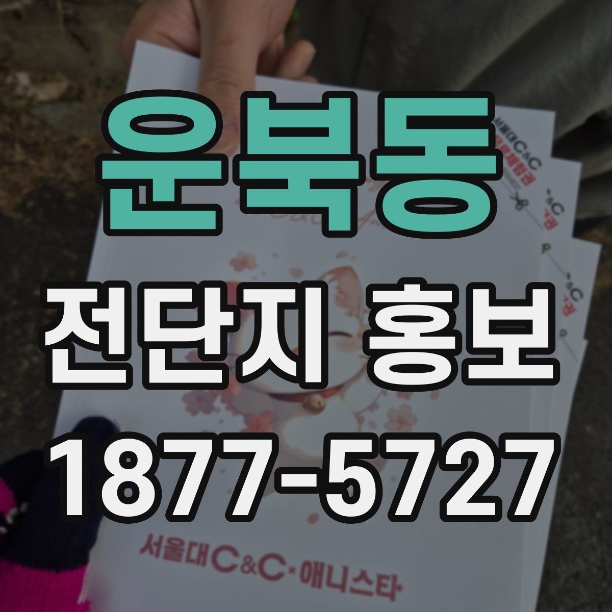 운북동 전단지 홍보