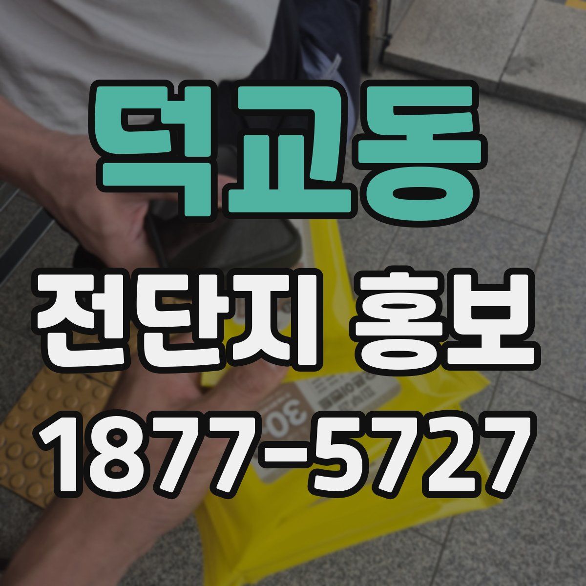 덕교동 전단지 홍보