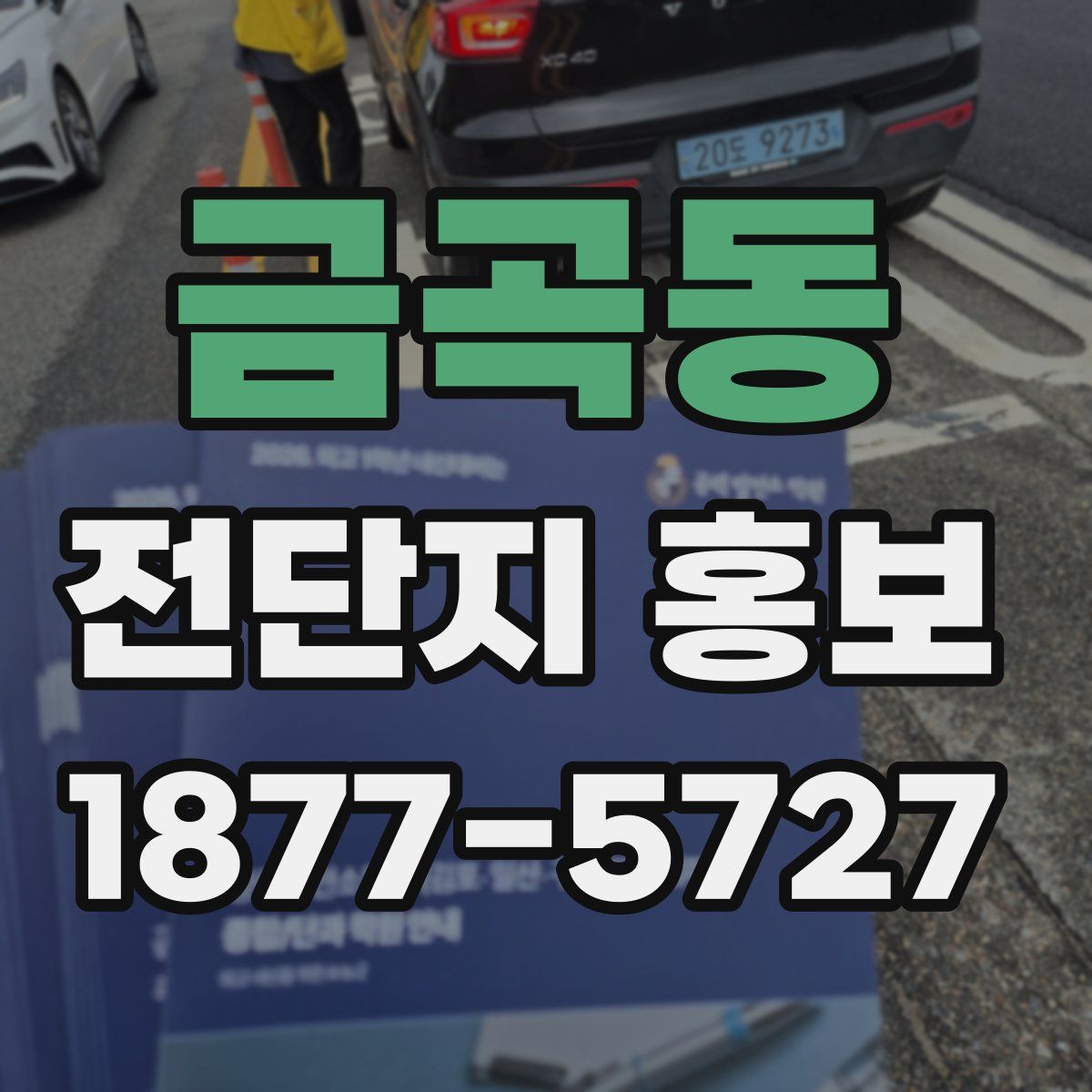 금곡동 전단지 홍보