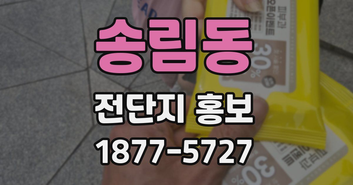 송림동 전단지 홍보