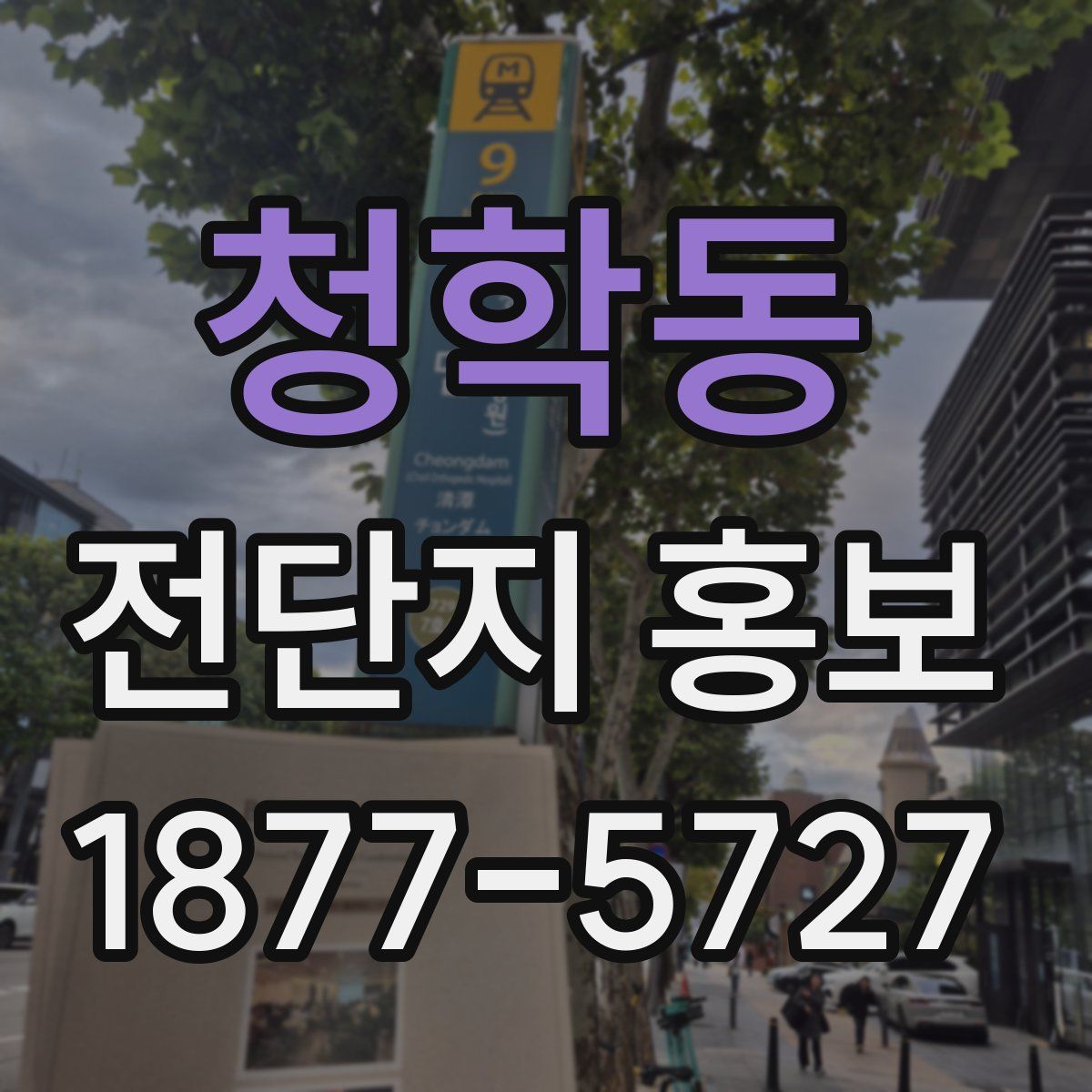 청학동 전단지 홍보