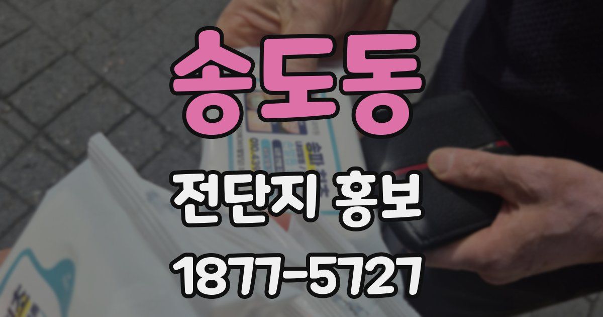 송도동 전단지 홍보