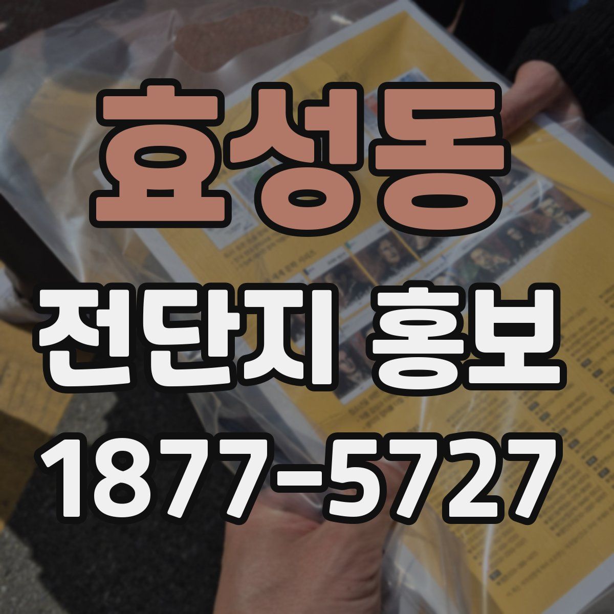 효성동 전단지 홍보