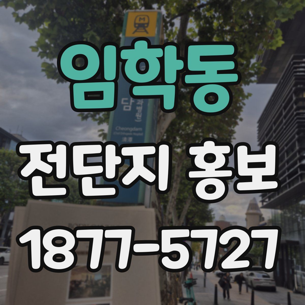 임학동 전단지 홍보