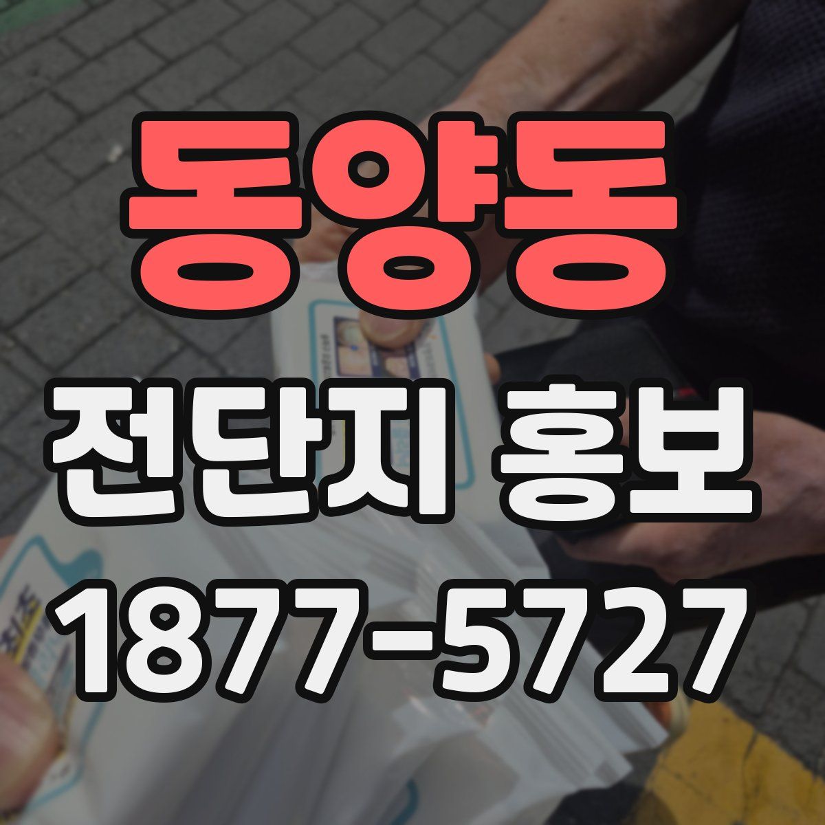 동양동 전단지 홍보