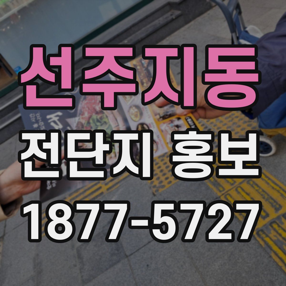 선주지동 전단지 홍보