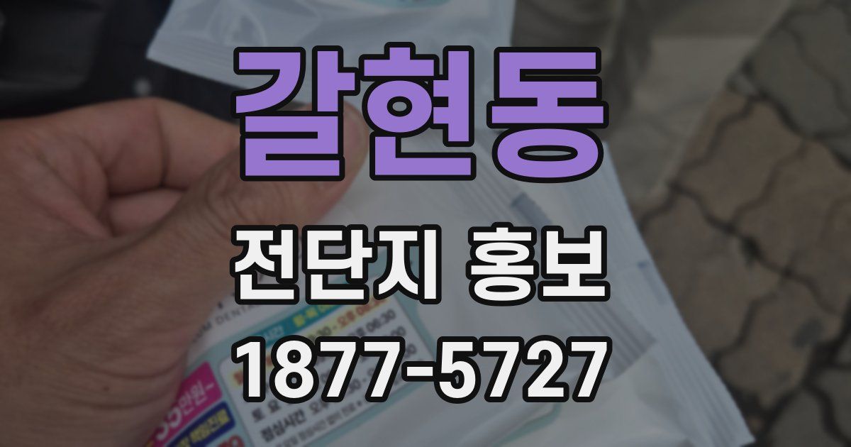 갈현동 전단지 홍보