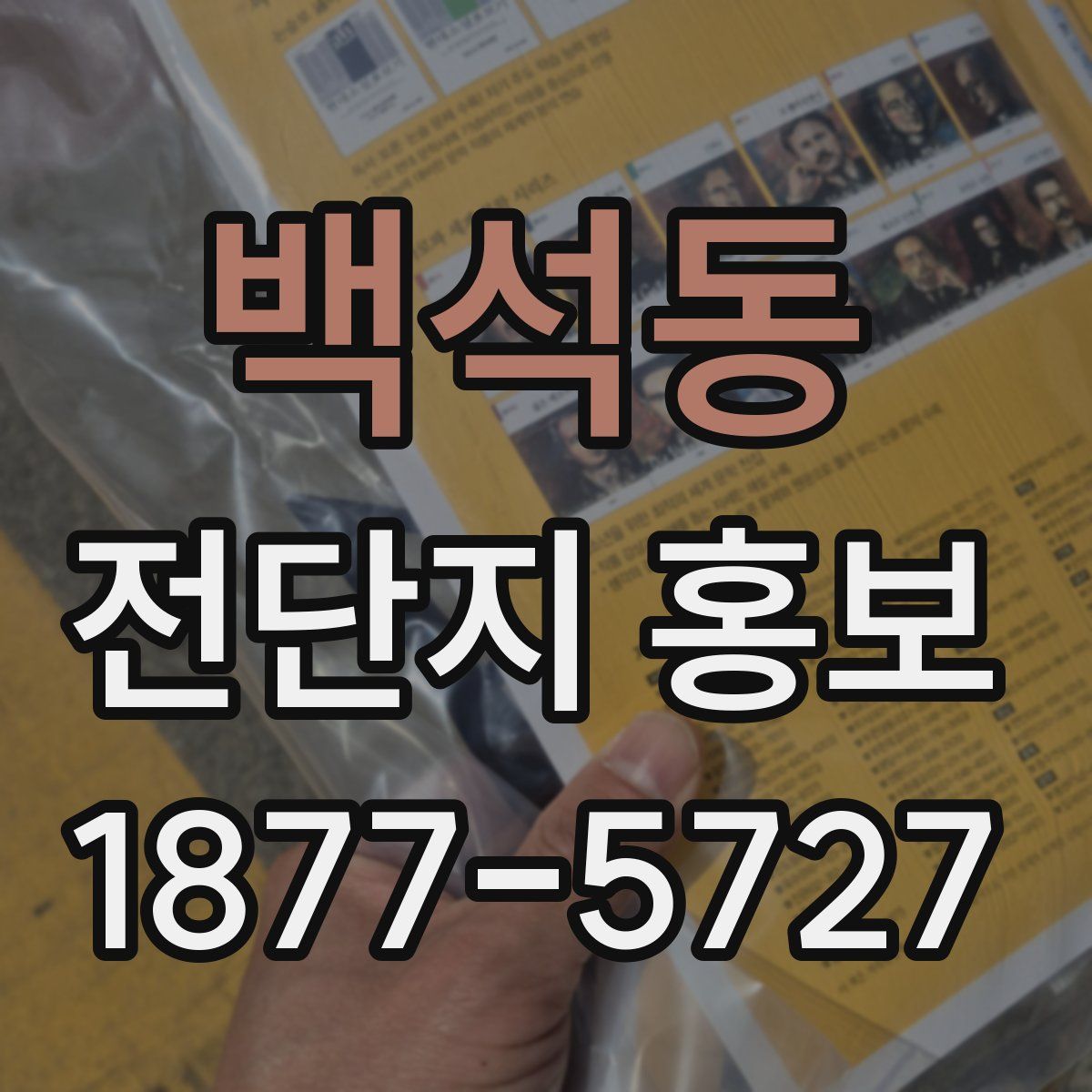 백석동 전단지 홍보