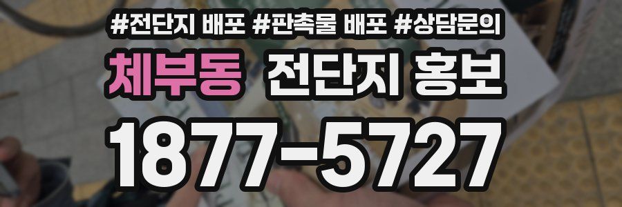 체부동 전단지 홍보