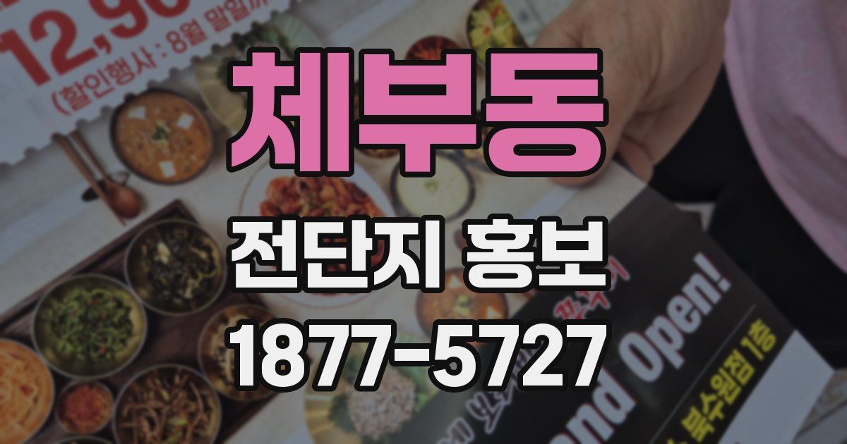 체부동 전단지 홍보