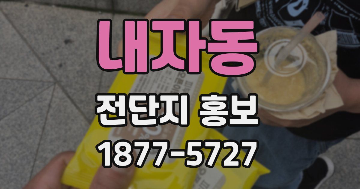 내자동 전단지 홍보