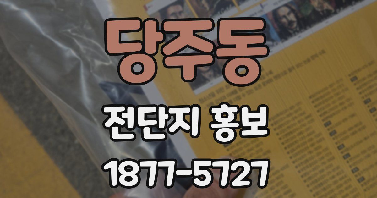 당주동 전단지 홍보