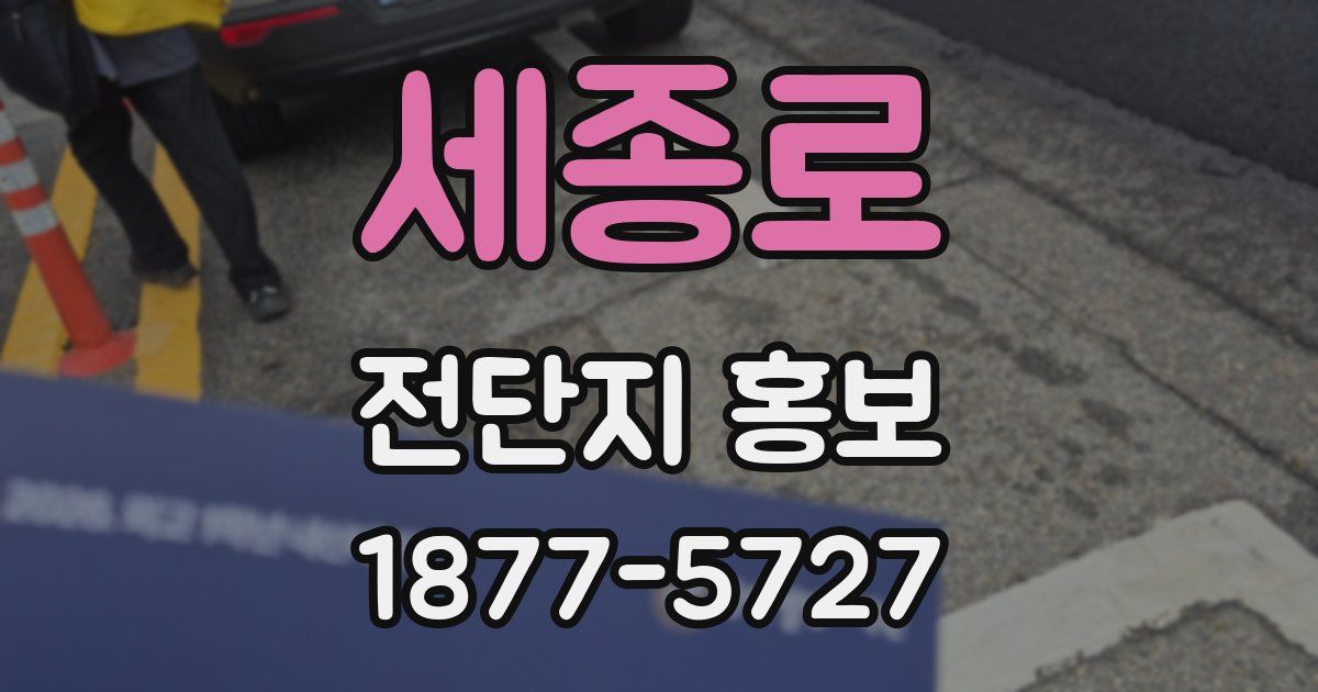 세종로 전단지 홍보