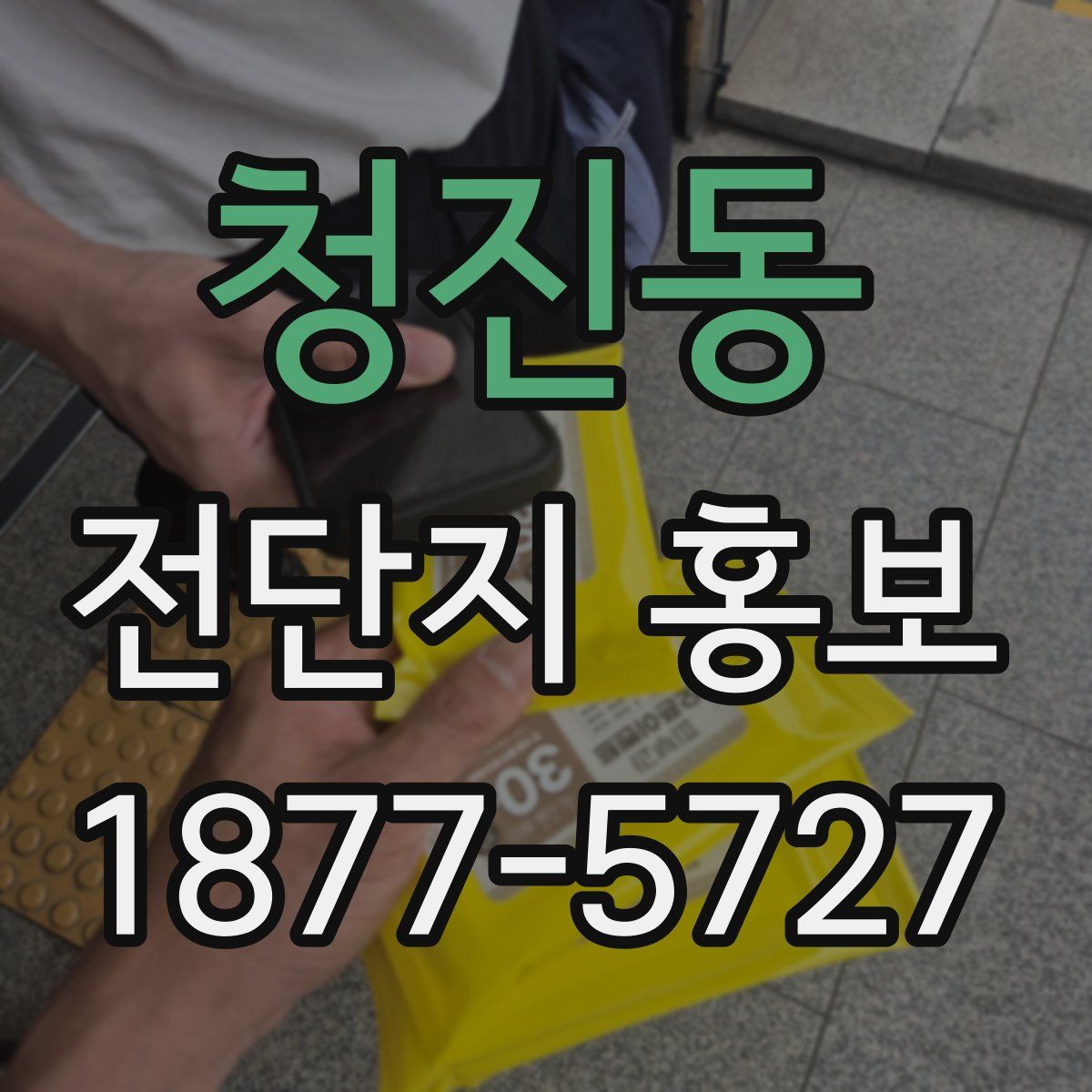 청진동 전단지 홍보