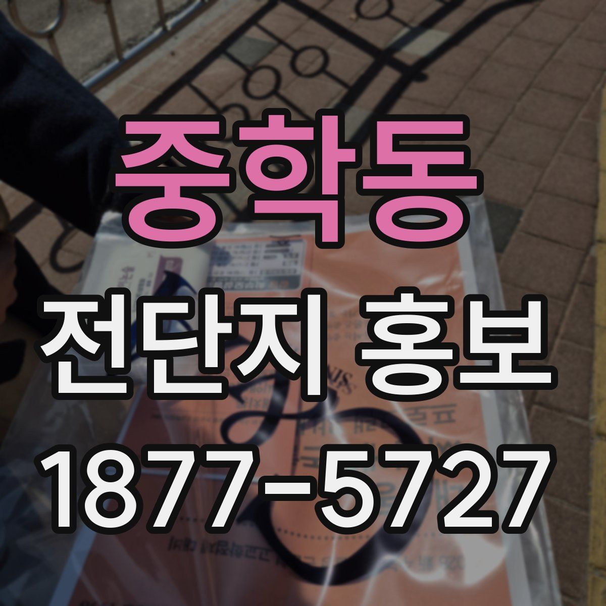 중학동 전단지 홍보