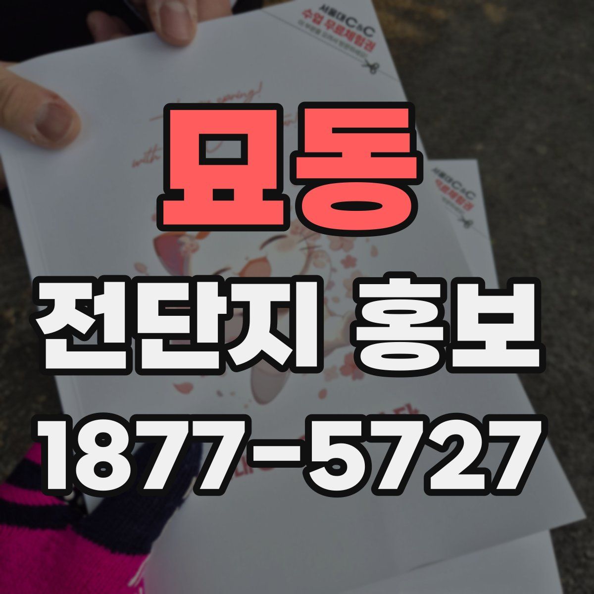 묘동 전단지 홍보