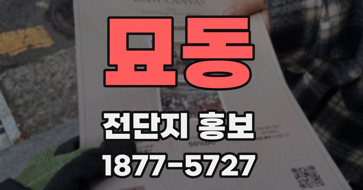 묘동 전단지 홍보
