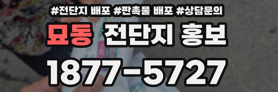 묘동 전단지 홍보