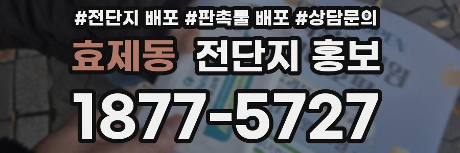 효제동 전단지 홍보