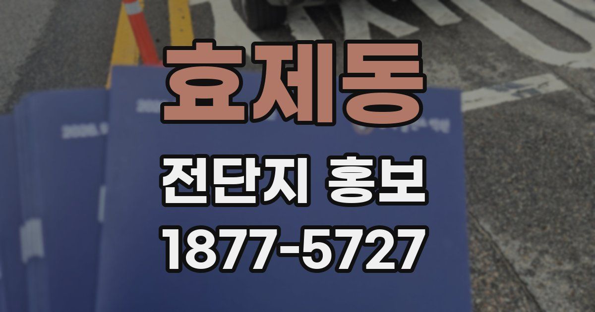 효제동 전단지 홍보