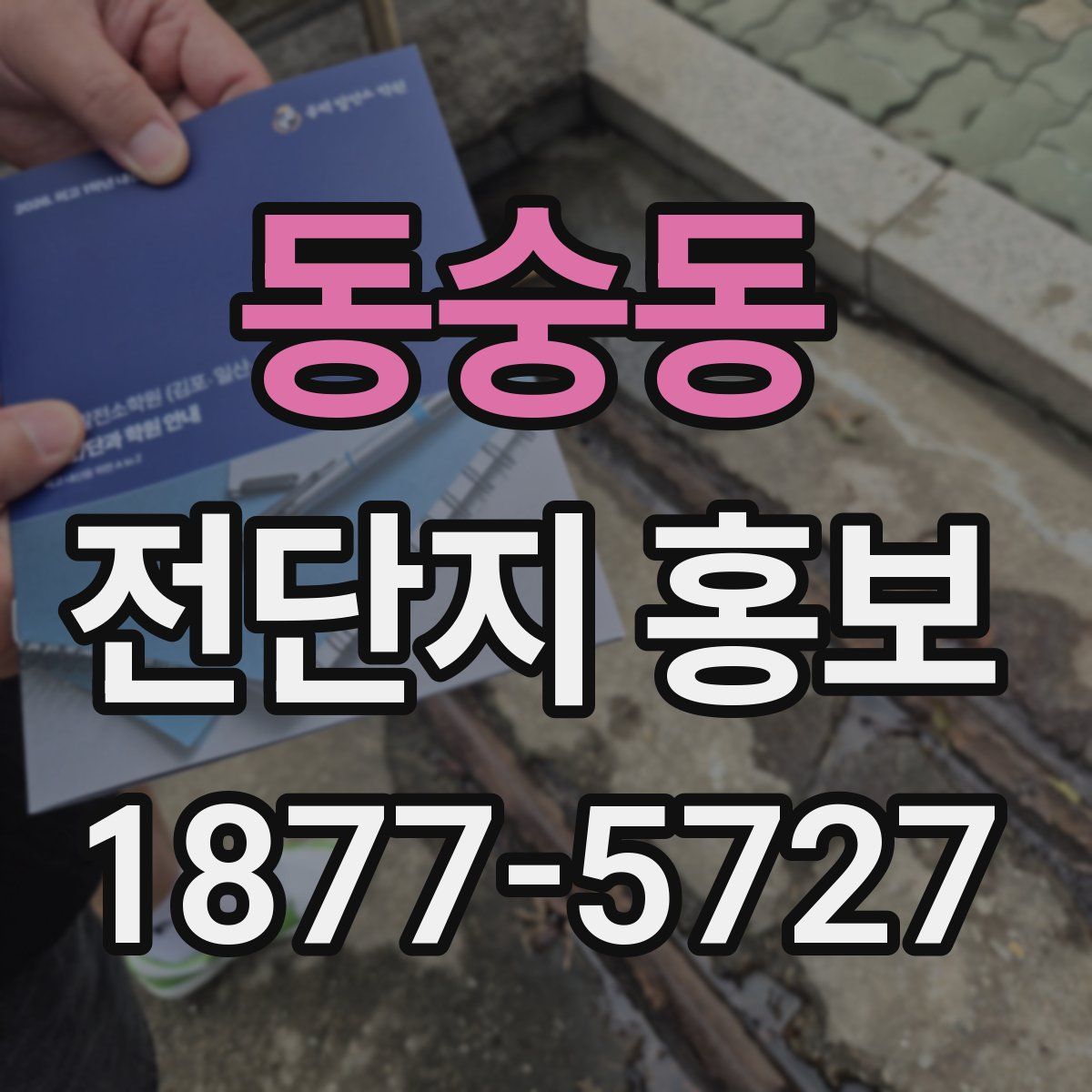 동숭동 전단지 홍보