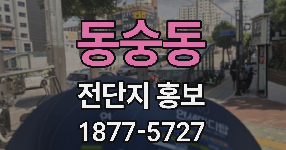 동숭동 전단지 홍보