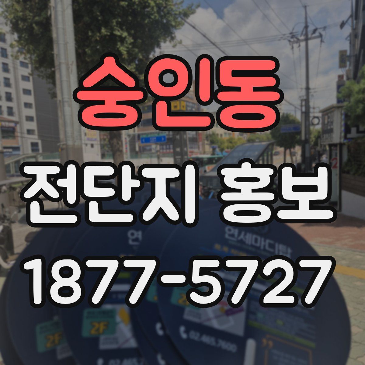 숭인동 전단지 홍보