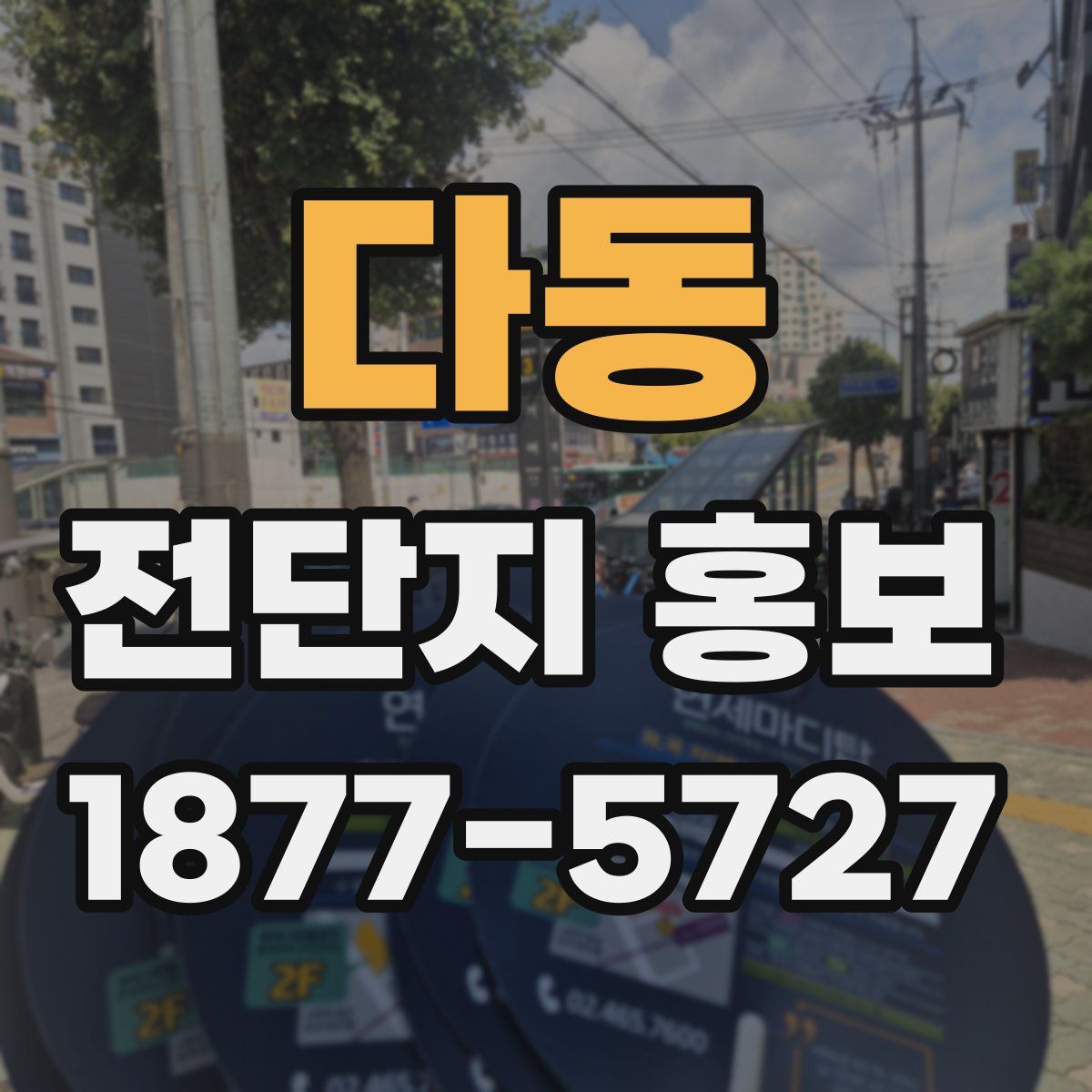 다동 전단지 홍보