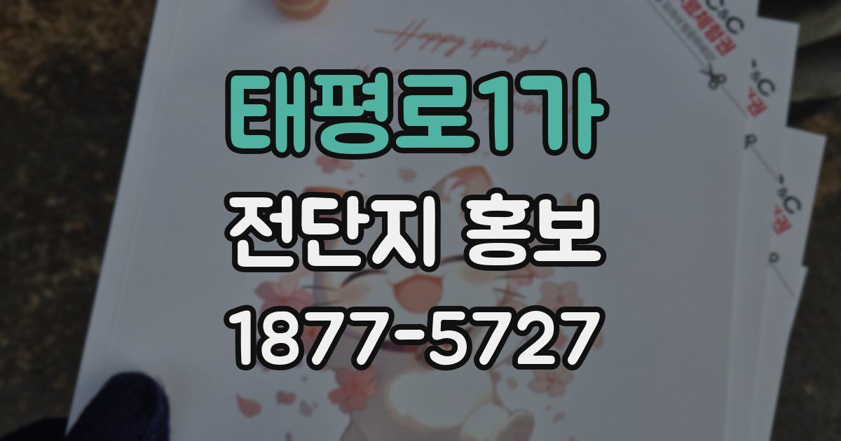 태평로1가 전단지 홍보