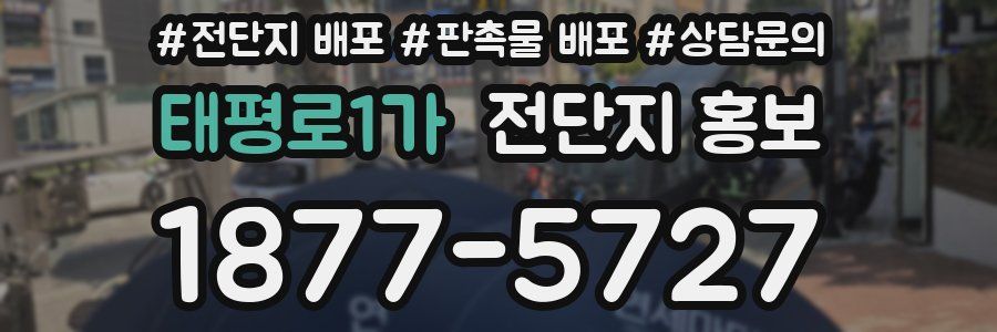 태평로1가 전단지 홍보
