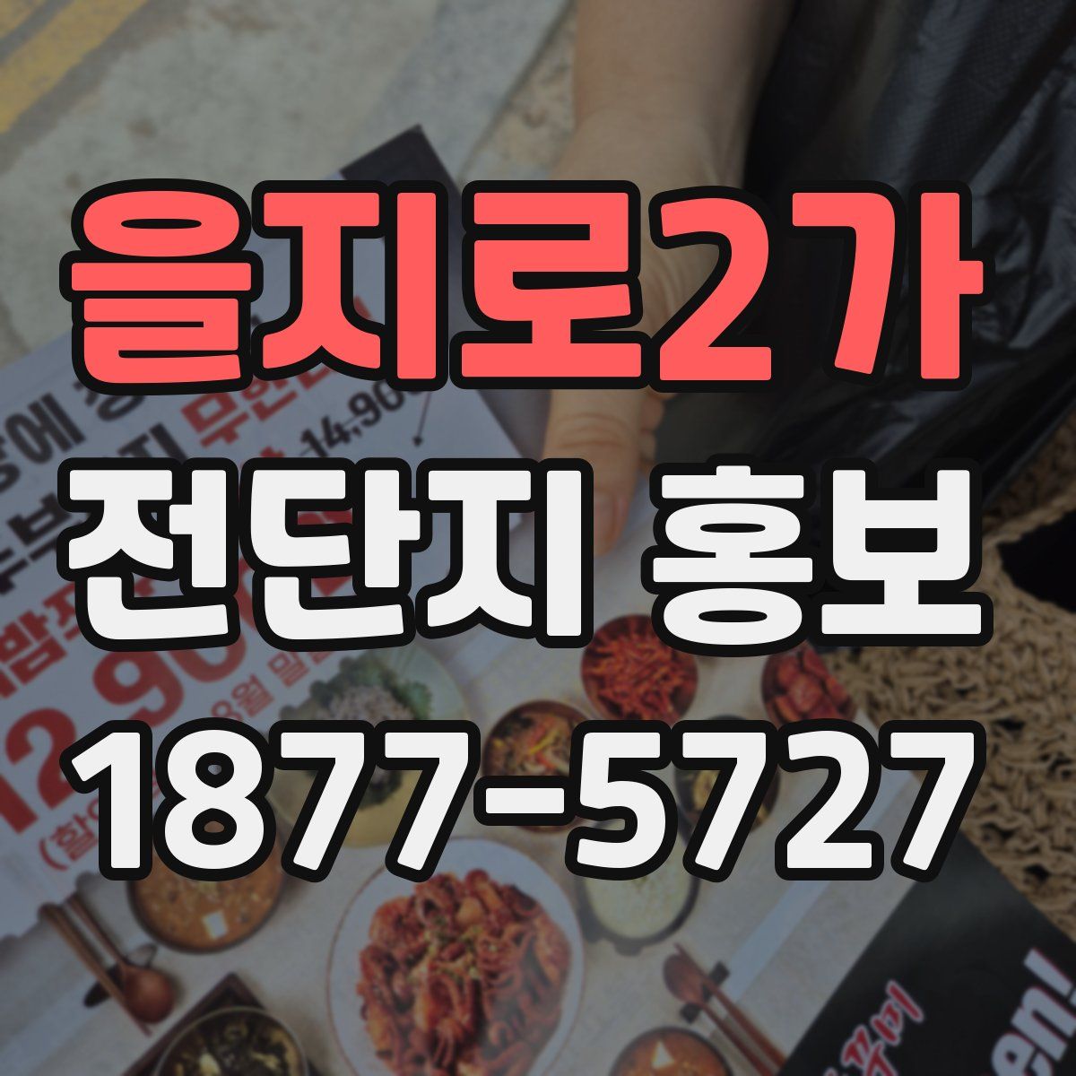 을지로2가 전단지 홍보