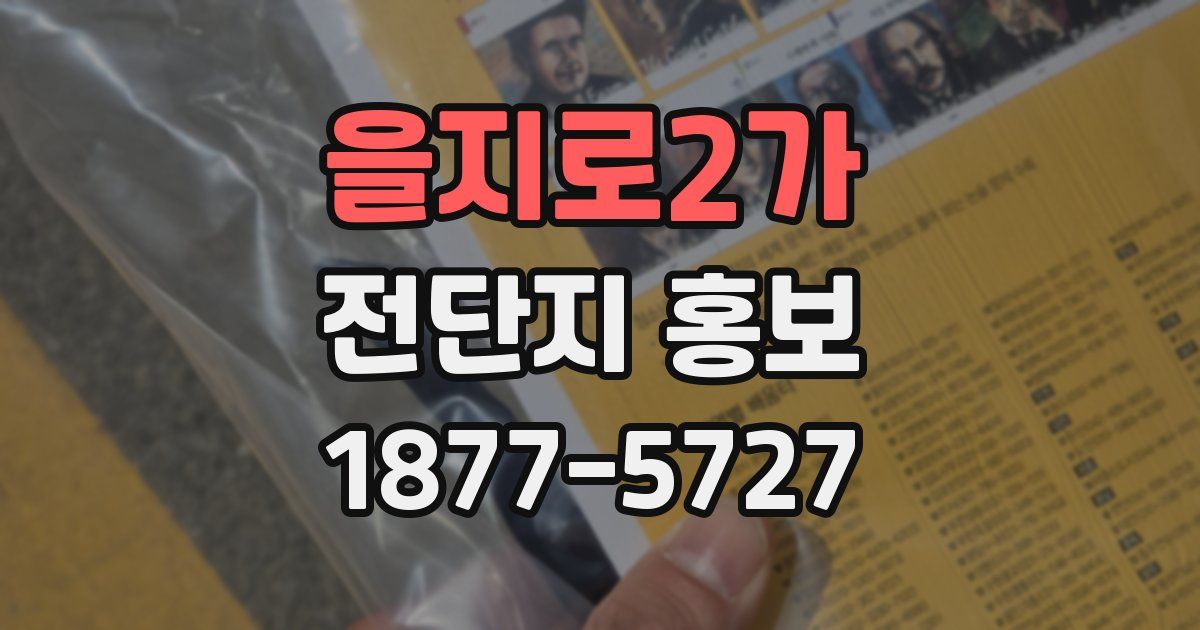 을지로2가 전단지 홍보