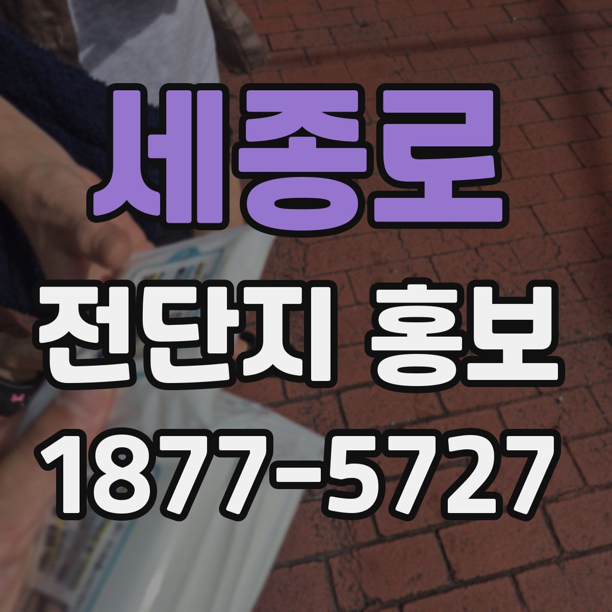 세종로 전단지 홍보