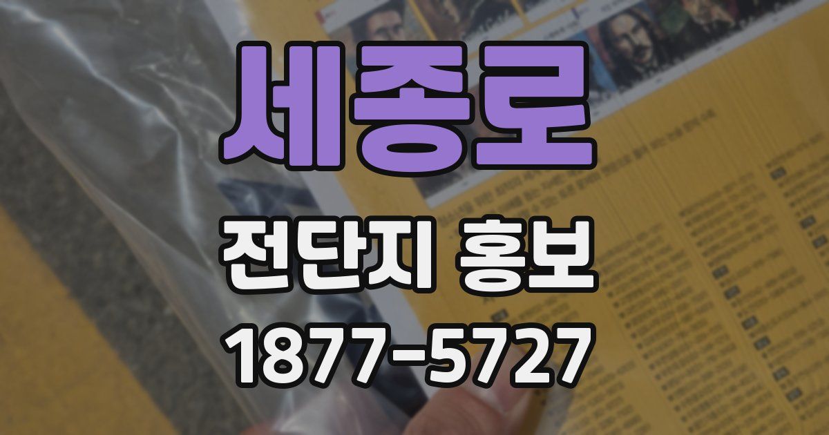 세종로 전단지 홍보