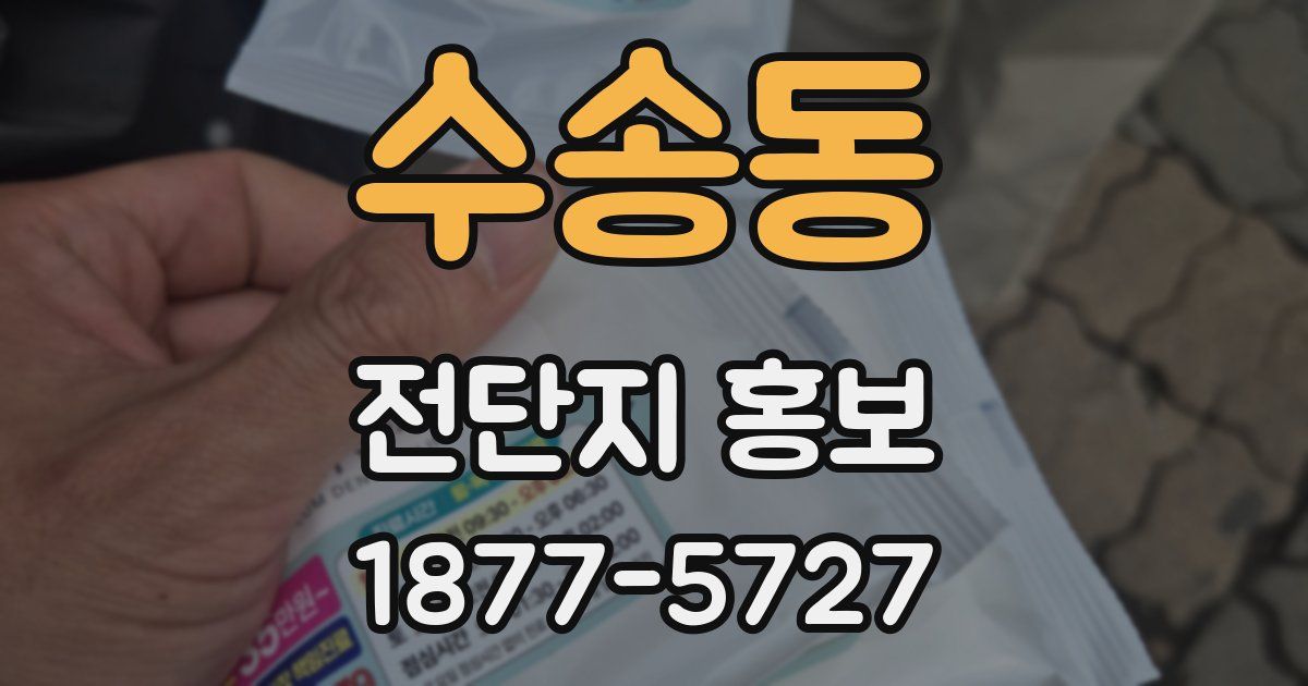 수송동 전단지 홍보